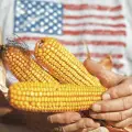 Pleito por maíz: empresas temen represalias en forma de aranceles